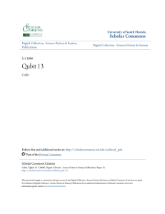 Qubit 13 - Scholar Commons - University of South Florida