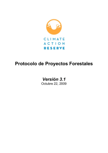 Protocolo de Proyectos Forestales
