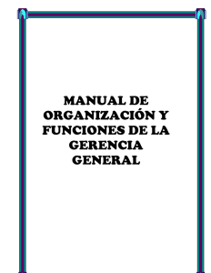 manual de organización y funciones de la gerencia general