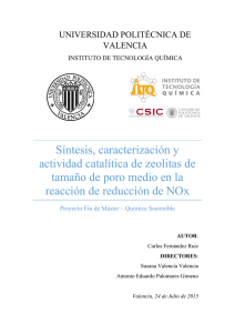 Síntesis, caracterización y actividad catalítica de zeolitas de