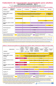 Calendario de vacunación recomendado para adultos