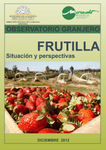 Frutilla - Situación y Perspectivas - Diciembre 2012