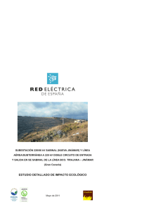 REE_IC_019 Estudio Detallado de Impacto Ecologico