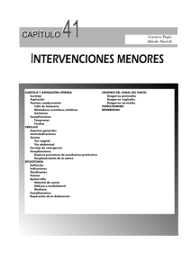 Capítulo 41: Intervenciones menores