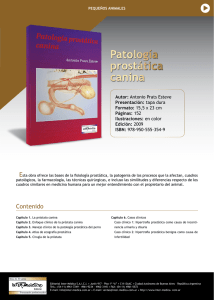 Patología prostática canina - Inter-Medica Inter