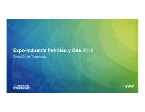 Expo-Industria Petróleo y Gas 2012