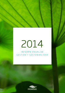 informe anual de gestión y sostenibilidad