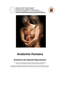 Anatomía Humana - Pontificia Universidad Católica de Valparaíso