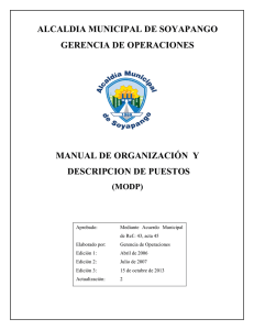 Manual de Organización y Descripción de Puestos