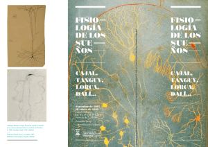 tríptico de la exposición en pdf - Instituto Cajal
