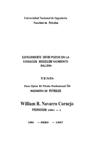 INGENIERO DE PETROLEO William R. Navarro Cornejo