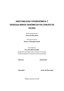 inestabilidad cromosómica y desequilibrios genómicos en cáncer