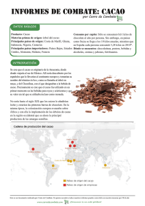 Informe Cacao Carro de Combate