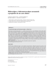Hidrocolpos e hidrometrocolpos neoanatal: a propósito de un caso