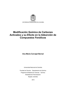 Modificación Química de Carbones Activados y su Efecto en la
