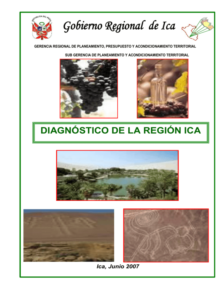 diagnóstico de la región ica