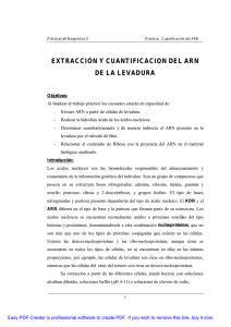 EXTRACCIÓN Y CUANTIFICACION DEL ARN DE LA LEVADURA