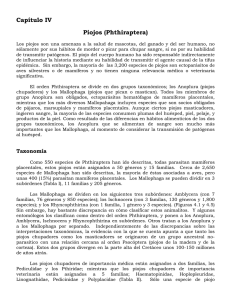 Capítulo IV Piojos - Phthiraptera.info