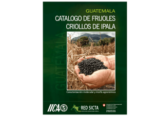 Catálogo de frijoles criollos de Ipala GUATEMALA