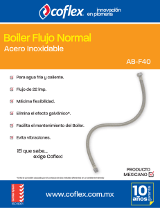 Boiler Flujo Normal
