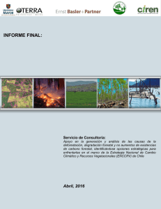 informe final - The Forest Carbon Partnership Facility