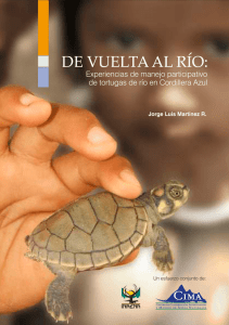 Taricaya - tortuga amazónica de río