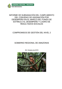 Descargar - Gobierno Regional de Amazonas