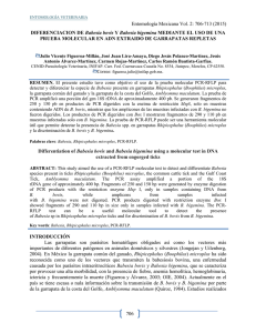 PDF - Pags. PAG 706-713 - Entomología mexicana