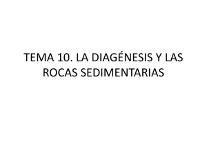 tema 10. la diagénesis y las rocas sedimentarias