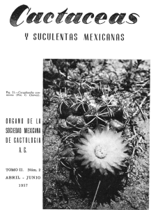 y suculentas mexicanas - Au Cactus Francophone