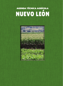 19.- Nuevo León