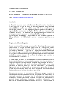 Fisiopatología de las tendinopatías Dr. Tomás F Fernández Jaén
