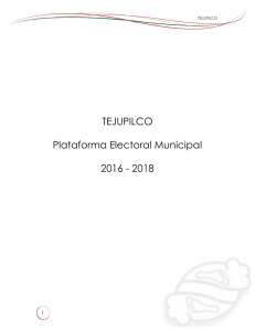 TEJUPILCO Plataforma Electoral Municipal 2016 - 2018