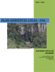 Plan Ambiental Local Usaqun