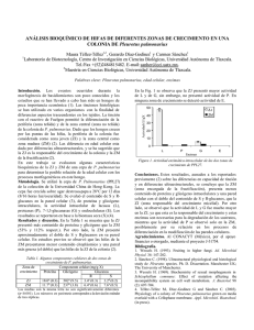 OXII-1