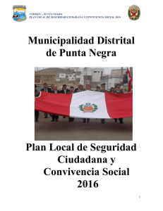 plan local 2016 - Municipalidad de Punta Negra