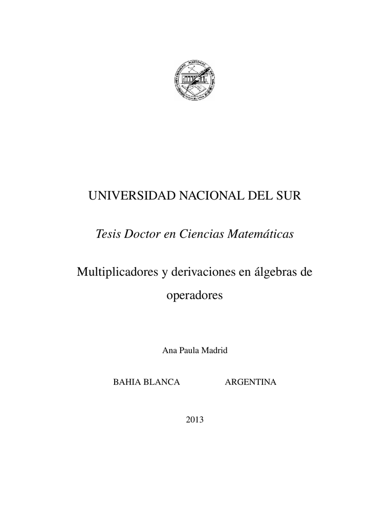 Tesis Apm Repositorio Institucional De La Universidad Nacional