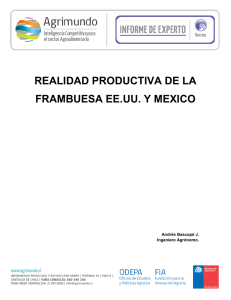 realidad productiva de la frambuesa ee.uu. y mexico