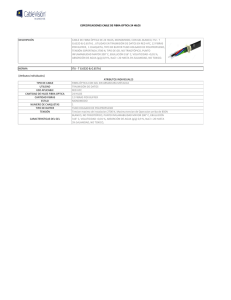 especificacion técnica fibra óptica 24 hilos