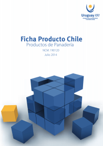 Ficha Producto Chile