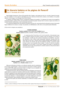 Un itinerario botánico en las páginas de Panace