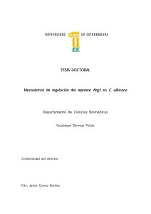 Mecanismos de regulación del represor Nrg1 en C. albicans