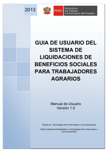 Guía de usuario del Sistema de Liquidaciones para Trabajadores