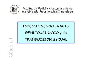 Seminario 11 - Facultad de Medicina