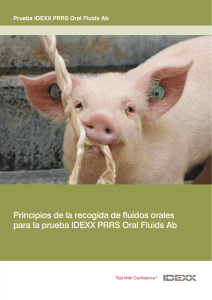 Gu&iacute;a IDEXX PRRS: Recogida de Fluidos Orales en Cerdos