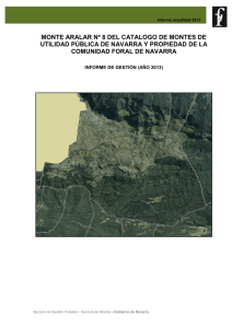 Resumen publico Aralar FSC anualidad_2013 - Gobierno
