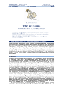 Orden Onychopoda