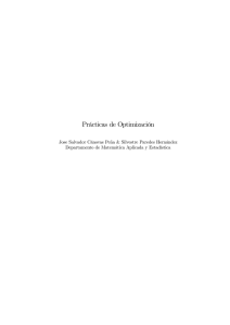 Prácticas de Optimización - Departamento de Matemática Aplicada
