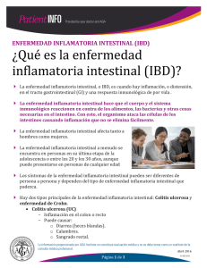 ¿Qué es la enfermedad inflamatoria intestinal (IBD)?