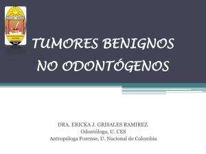 Tumores Benignos No Odontogénicos
